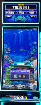 Descubra o Mundo do Cassino Online com 5686a